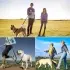 Dog Lead 8ft Adjustable Double Ended [UKC171001]
