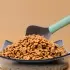 Pet Food Shovel Cat Food Spoon Dog Food Spoon Plastic Shovel [Blue]