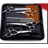 Pet Scissors Pet Scissors Set Household Pet Scissors [Silver white]