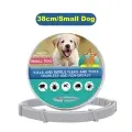 Flea-repellent Collar For Pets [Small dog-Boxed]