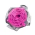 Flea-repellent Collar For Pets [Short Pink-Bagged]