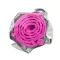 Short Pink-Bagged