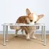 Adjustable Height Dog Food Bowl Rack [Black-High 22.5cm-860ml]