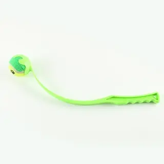 Outdoor Pet Throwing Cue Dog Training Toy [Green]