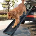 Pet Folding Ladder Slope Non-slip Plastic Stairs [Black]