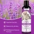 Pet Shampoo Relieve Skin Itching Hair Soft Non-knotted [100ml]