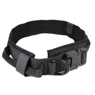 Dog collar [Black-M]