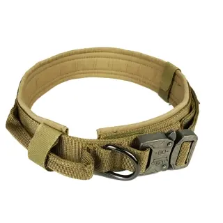 Dog collar [Yellow-L]