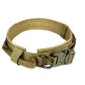Dog collar [Yellow-M]