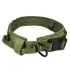 Dog collar [Yellow-XL]