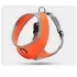 Towing rope for small dogs [Blue-XS]