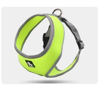 Towing rope for small dogs [Light Green-M]