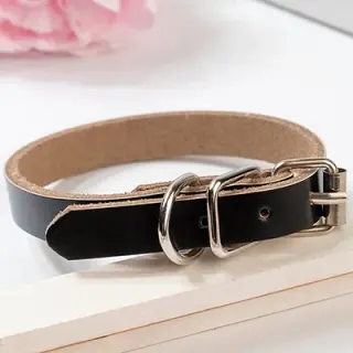 Leather dog collar dog chain [Black-XS]