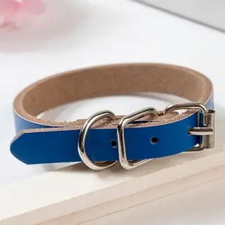 Leather dog collar dog chain [Blue-XS]