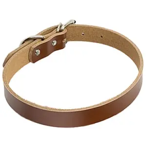 Leather dog collar dog chain [Coffee-S]