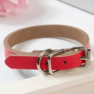 Leather dog collar dog chain [Red-M]