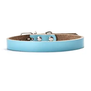 Leather dog collar dog chain [Sky blue-XL]
