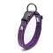 Purple-M