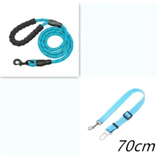 Reflective Dog Leash Nylon [Blue set]