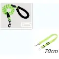 Reflective Dog Leash Nylon [Green set]