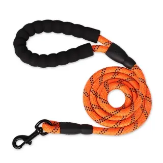 Reflective Dog Leash Nylon [Orange]