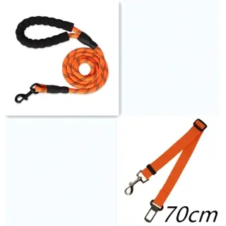 Reflective Dog Leash Nylon [Orange set]