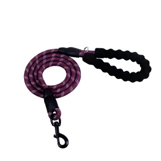 Reflective Dog Leash Nylon [Purple]