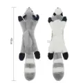 Pet Supplies Plush Molar Toy [Raccoon]