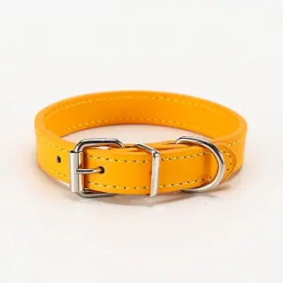 Pet supplies collar [gold-S 1.0*30]