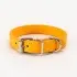 Pet supplies collar [red-S 1.0*30]