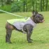 Summer Pet Dog Cooling Vest Heat Resistant Cool [Orange-S]