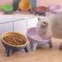 Cat Dog Bowl With Stand Pet Feeding Food Bowls [Moff green]