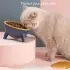 Cat Dog Bowl With Stand Pet Feeding Food Bowls [Rose red]