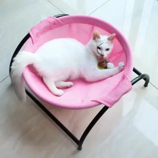 Cat Hammock Bed Free-Standing [Pink]