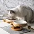 Ceramic Pet Products Cat Bowl [Ginger cat]