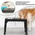 Dog Feeder Bowls Adjustable Raised Stand [Black]