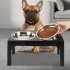 Dog Feeder Bowls Adjustable Raised Stand [Black]