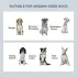 Raised Dog Feeding Bowls With Stand Grey [Medium]