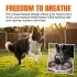Breathable Basket Dog Muzzle For Large Breeds [Black-L]