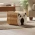 Magic Organ Interactive Cat Scratcher Toy [A]