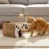 Magic Organ Interactive Cat Scratcher Toy [A]